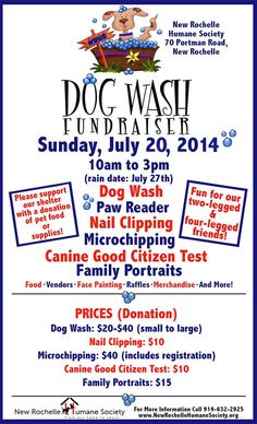 the flyer for dog wash fundraiser