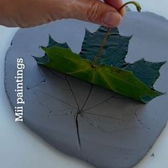 a hand holding a green leaf on top of a stone