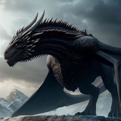 a large black dragon standing on top of a snow covered mountain under a cloudy sky