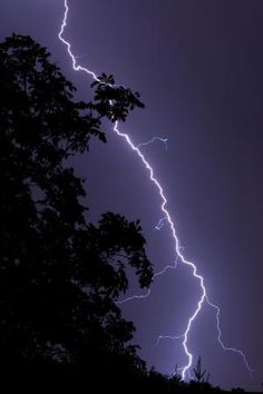 lightning strikes through the night sky above trees