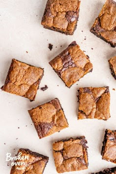 the most delicious gingerbread brownies recipe is made with gluing and chocolate chips