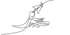 a single line drawing of a bird flying in the sky with its wings spread out