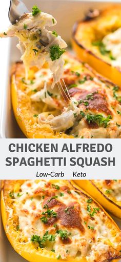 chicken alfredo spaghetti squash with low carb ketchup is an easy dinner recipe