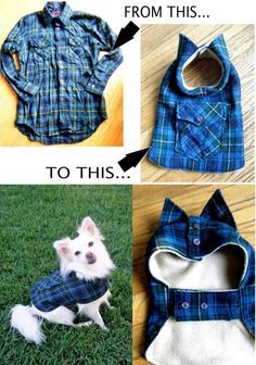 the instructions to make a dog shirt and vest for his owner's pet,