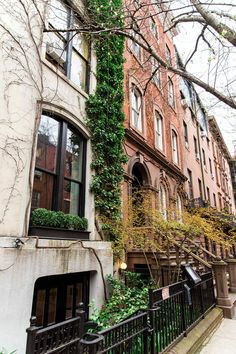 an apartment building with ivy growing on the side