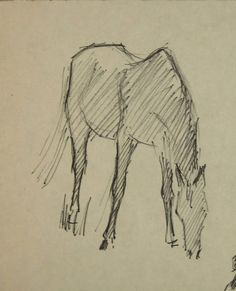 a black and white drawing of a horse