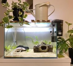 an aquarium filled with plants and water next to a wall mounted air purigerator