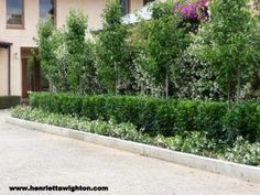 a house with lots of trees in front of it and bushes on the side of the road