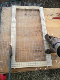 a dog laying on top of a wooden floor next to a wire mesh door and tools