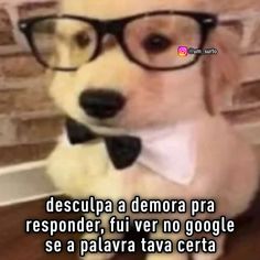 a dog wearing glasses and a bow tie with the caption descupa a demora pra responder, fri ver no google se pa la paleva eva certa