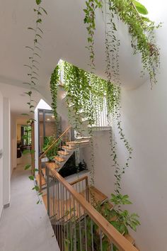 some plants are growing up the side of a building's wall and stair case