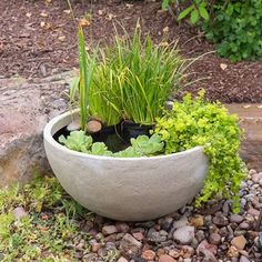 a planter filled with plants and rocks