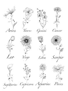 an image of flowers that are drawn in black ink on white paper, with the names and