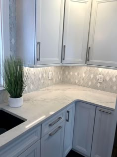 a kitchen with white cabinets and marble counter tops in front of a potted plant