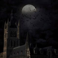 a large building with many bats flying around it at night in front of a full moon