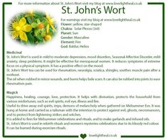 a flyer for st john's wort