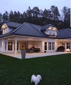 a white dog is standing in front of a large house with lights on it's roof