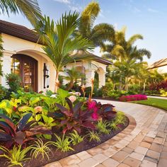 a house with lots of tropical plants in the front yard and landscaping on either side