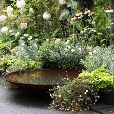 a garden filled with lots of different types of flowers