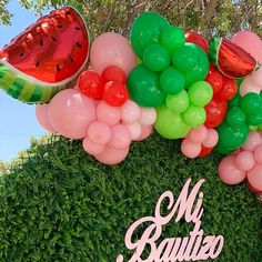 a bunch of balloons that are on top of a bush and some watermelon