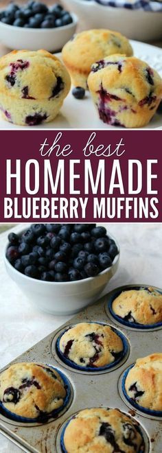 the best homemade blueberry muffins in a muffin tin with fresh blueberries