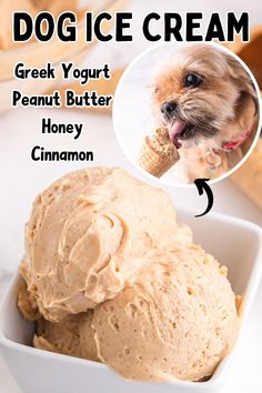 a bowl filled with ice cream next to a dog