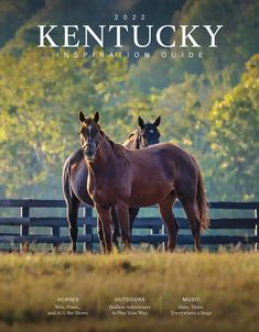 two brown horses standing next to each other