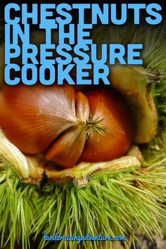 chestnutnuts in the pressure cooker with text overlay reading chestnutnuts in the pressure cooker