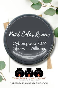 the logo for paint color review cyberspace 706 sherwin - williams, three bears home staging