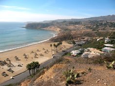 an aerial view of a beach with palm trees in the foreground and houses on the other side