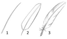 three different types of feathers are shown in this diagram, one is white and the other has