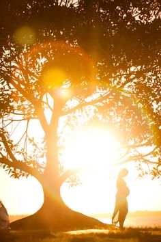 a person standing under a tree with the sun setting in the back ground behind them