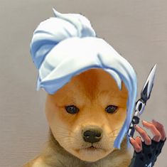 a dog with a blue hat holding a pair of scissors