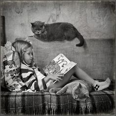 Vet Assistant, Kids Around The World, Image Chat, Cat People, Fat Cats, Jolie Photo, Vintage Cat, Crazy Cat Lady, Cat Photo