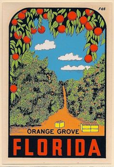 an orange grove is shown in this vintage poster