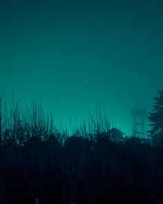 the silhouette of trees and bushes against a dark blue sky with a water tower in the distance