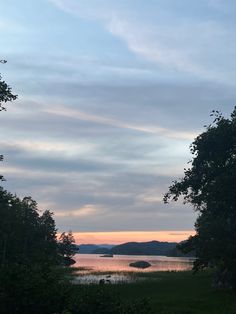 a bench sitting in the middle of a forest next to a body of water at sunset