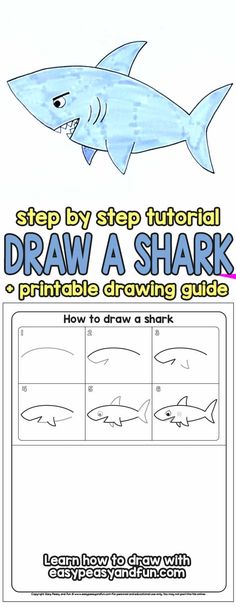 the step by step guide to draw a shark for kids with pictures and instructions on how to