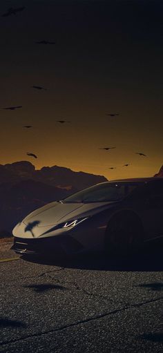 a silver sports car parked on the side of a road with birds flying in the sky