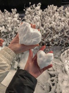 two hands are holding snowballs in front of some bushes and trees covered in snow