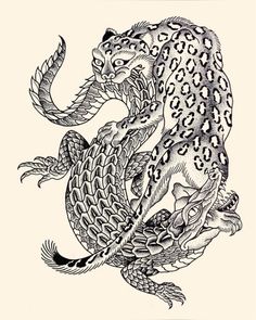 an ink drawing of a leopard on its back