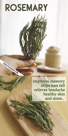 Very often we might have used this dried culinary herb to season our pizza or a continental dish. But there’s more to this herb other than its seasoning Headaches Remedies, Turmeric Essential Oil, Rosemary Oil For Hair, Rosemary Essential Oil, Extreme Hair Growth, Homemade Shampoo, Natural Body Wash, Hair Care Recipes, Castor Oil For Hair