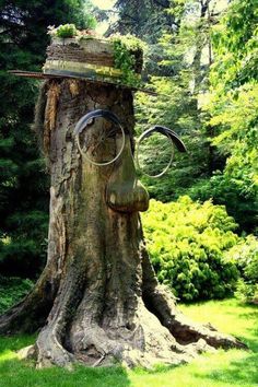 a tree trunk with a face carved into it