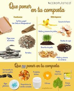 an image of different types of food in spanish