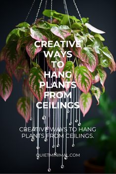 a hanging plant with the words creative ways to hang plants from ceilings