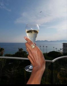 a person holding up a wine glass with the ocean in the background