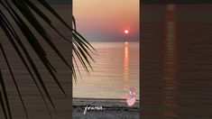 the sun is setting over the ocean with palm leaves in foreground and an image of a beach at sunset