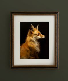 a framed photograph of a fox on a wall