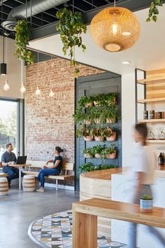 two people sitting on benches in front of a brick wall with potted plants hanging from it