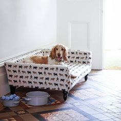 a dog laying on top of a couch in a room